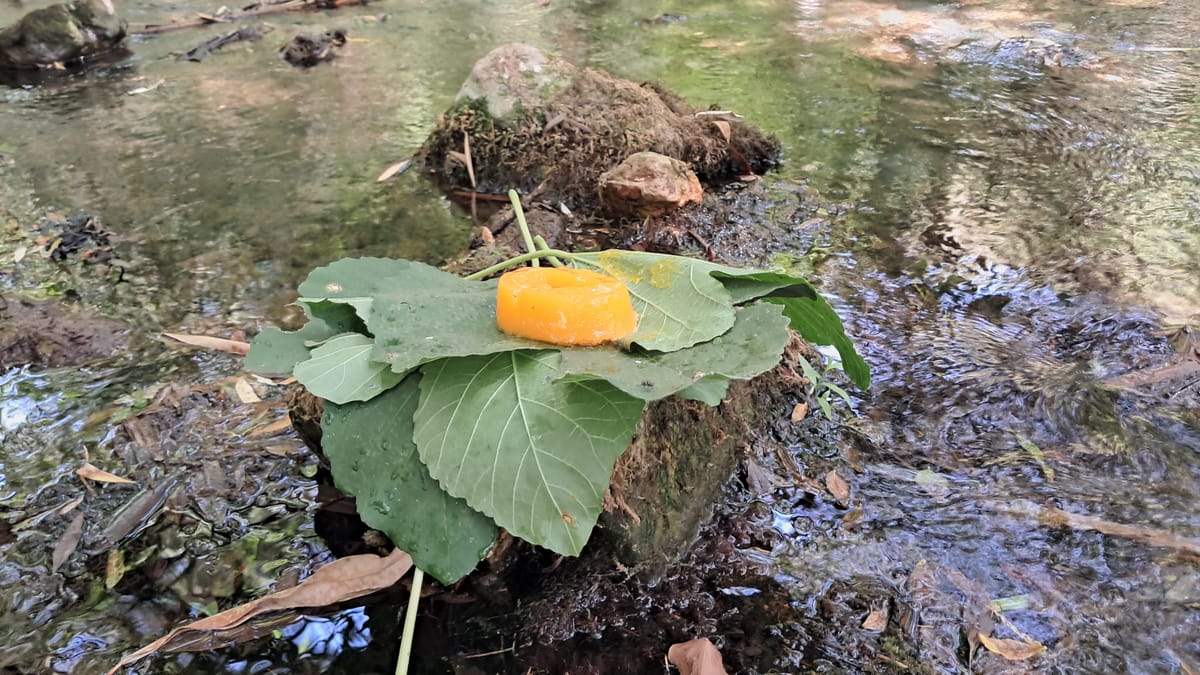 An offering at an oasis in southern Portugal