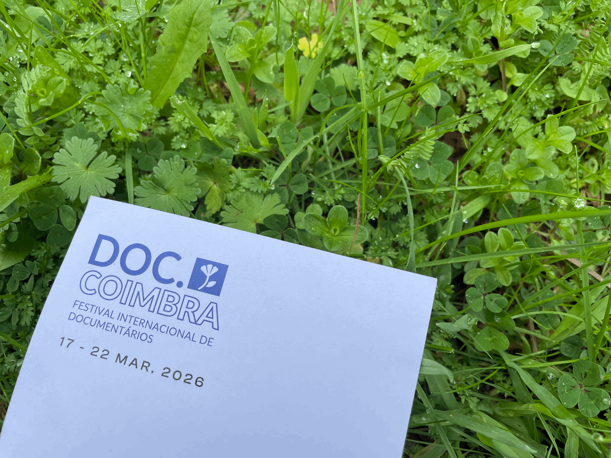 How to travel the world in March without leaving Coimbra.