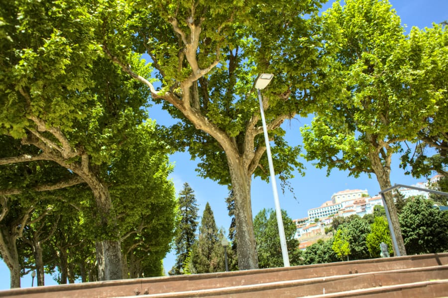 Three hours in Coimbra as a photographer in summer 2026.