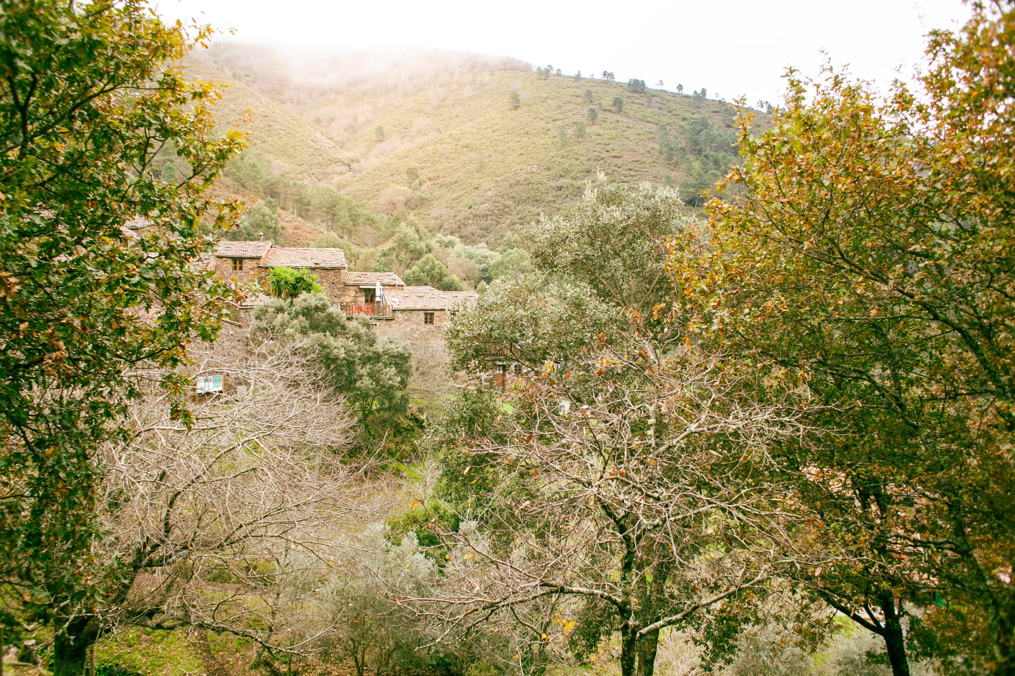 Cerdeira