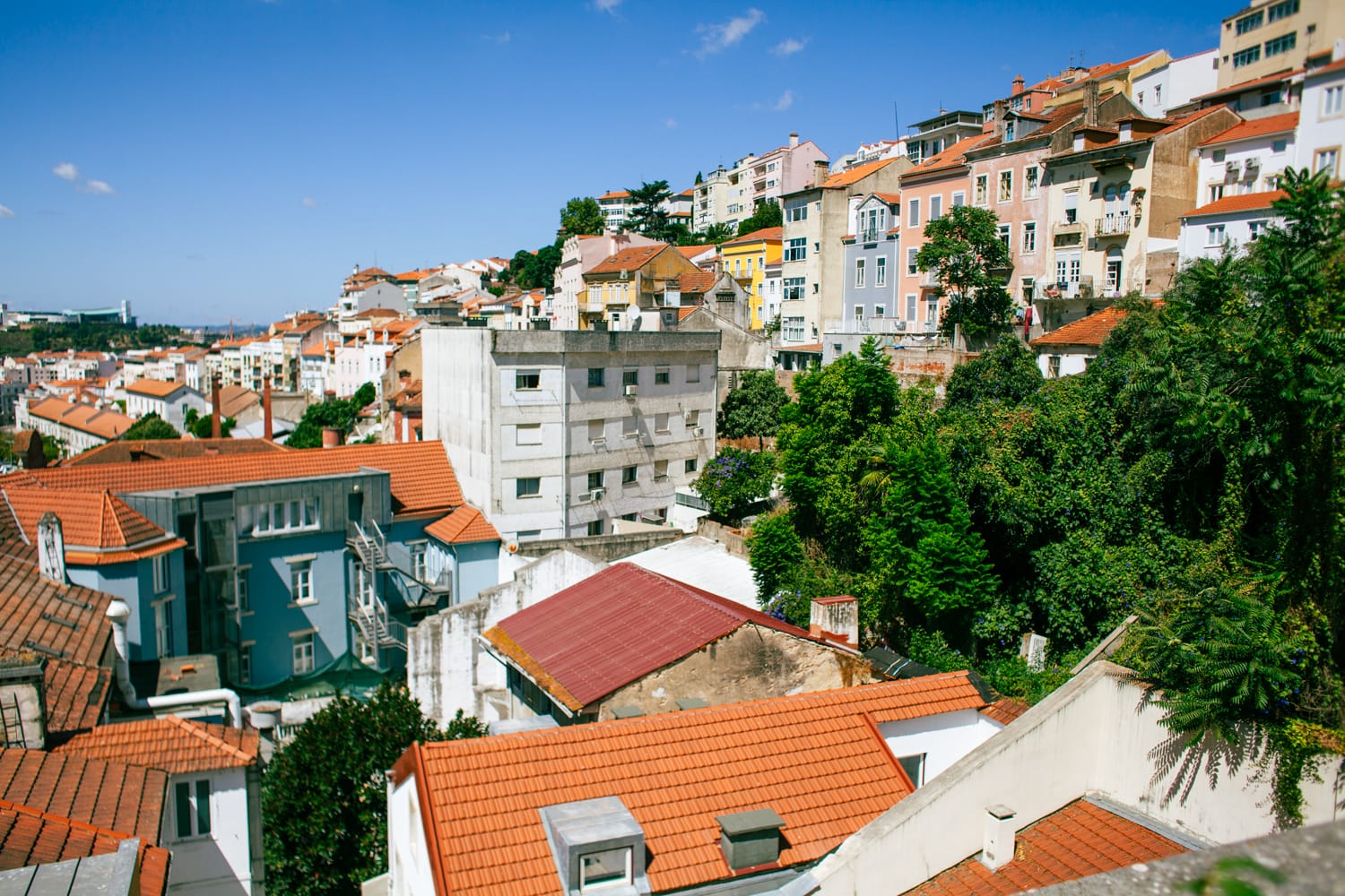 Diverse architecture, diverse food in Coimbra