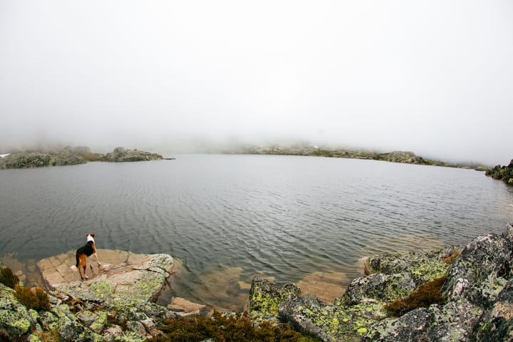 Sometimes adventure means being mindful of a pain.