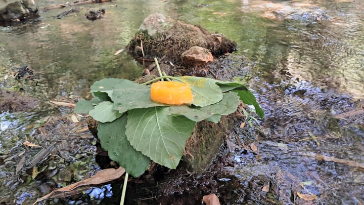 An offering at an oasis in southern Portugal