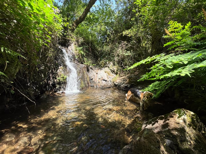 When I slipped away from a strictly planned trip.