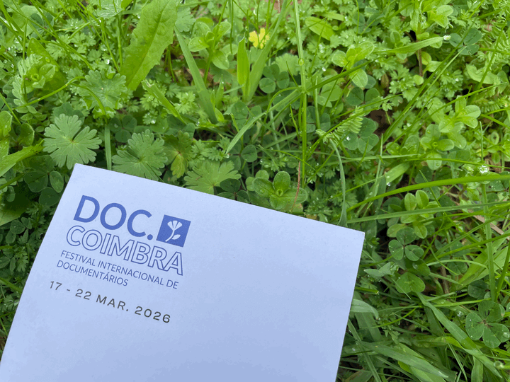 How to travel the world in March without leaving Coimbra.